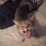 Travis Hamby - @travis.hamby.___ - Instagram