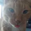 Travis Hamel - @travis_planet - TikTok