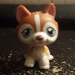 TravisHamrick - @zackthefurry - Instagram
