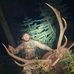 Travis Hardwick - Facebook