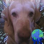 Travis Hatcher - @travis.hatcher.750 - Instagram
