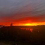 Travis Hathaway - @travhath - Instagram