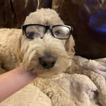 Travis Hawksley - @hawksleytravis - Instagram