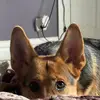 Travis J. Heinrich - @travis.j..heinric - TikTok