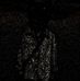 Travis Hensley - Facebook