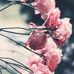 Travis Hembree - Facebook
