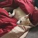 Travis Hembree - Facebook
