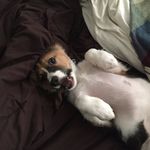 Travis Henley - @travphenley - Instagram