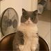 Travis Herrera - Facebook