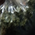 Travis Herrera - @twinnan_haha18 - Instagram