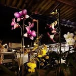 @travisherrerap - Instagram