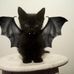 Travis Hattenbach - Facebook