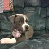 @travishitt1969 - @travishitt3 - TikTok