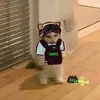 Travis Ho - @travis.ho6 - TikTok