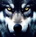 Travis Holmes - Facebook