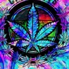 Travis Hoyle941 - @weedclan247 - TikTok