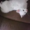 Travis Ihde - @travis.ihde - TikTok