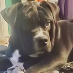 Travis Jean - @travisjean11 - Instagram