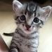 Travis Jolliff - Facebook