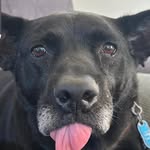 Travis Joyce - @travisjoyce5 - Instagram