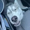 Travis - @travisokay - TikTok