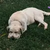 Travis Kehler - @traviskehler - TikTok