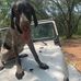 Travis Kiger - Facebook