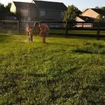 Travis Kilpatrick - @travis.kilpatrick - Instagram