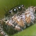 Travis Kimbrough - @spiderfang09 - Instagram