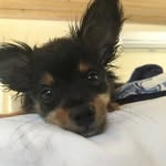 Travis Knowles-Carter Miluski - @travisknowlescarter - Instagram