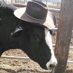 Travis Kramer - @commish_kramer - Instagram