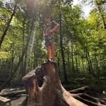 Travis Krause Jr - @traviskrausee12 - Instagram