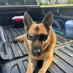 Travis Lambert - @travis3616 - Instagram