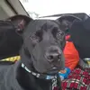 Travis - @travislambert2006 - TikTok