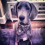 Travis Laney - @juggcomni80b - Instagram