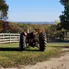 Travis Laney - @ohiofarmer08 - TikTok