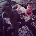 Travis Lanham - @lanhamtravis8 - Instagram