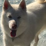 Travis Lanier - @travislanier_ - Instagram