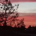 Travis Lantz - @travisl02 - Instagram