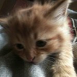 Travis Lenz - @travlenz - Instagram