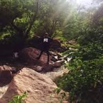 Travis Leonel - @travis_leonel48 - Instagram