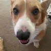 Travis lowdermilk - @travis.lowdermilk - TikTok