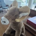 Travis Lowery - @ccpcrevelation - Instagram