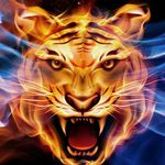 travis luke dismore - @travislukedismore - Instagram