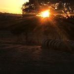 Travis Cole Lytle - @lytle5523 - Instagram