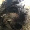 Travis Madden - @travis_madden06 - TikTok