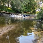 Travis Maples - @_travis_maples_ - Instagram