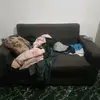 Travis Marley - @musokenas - TikTok
