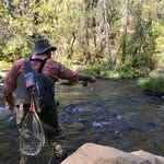 Travis McCartney - @hondadrvr - Instagram
