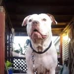 Travis Mcghee - @jerrymcghee0817 - Instagram